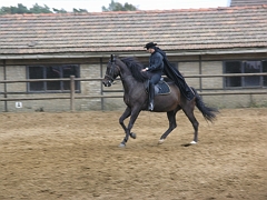 photos- Christophe 099